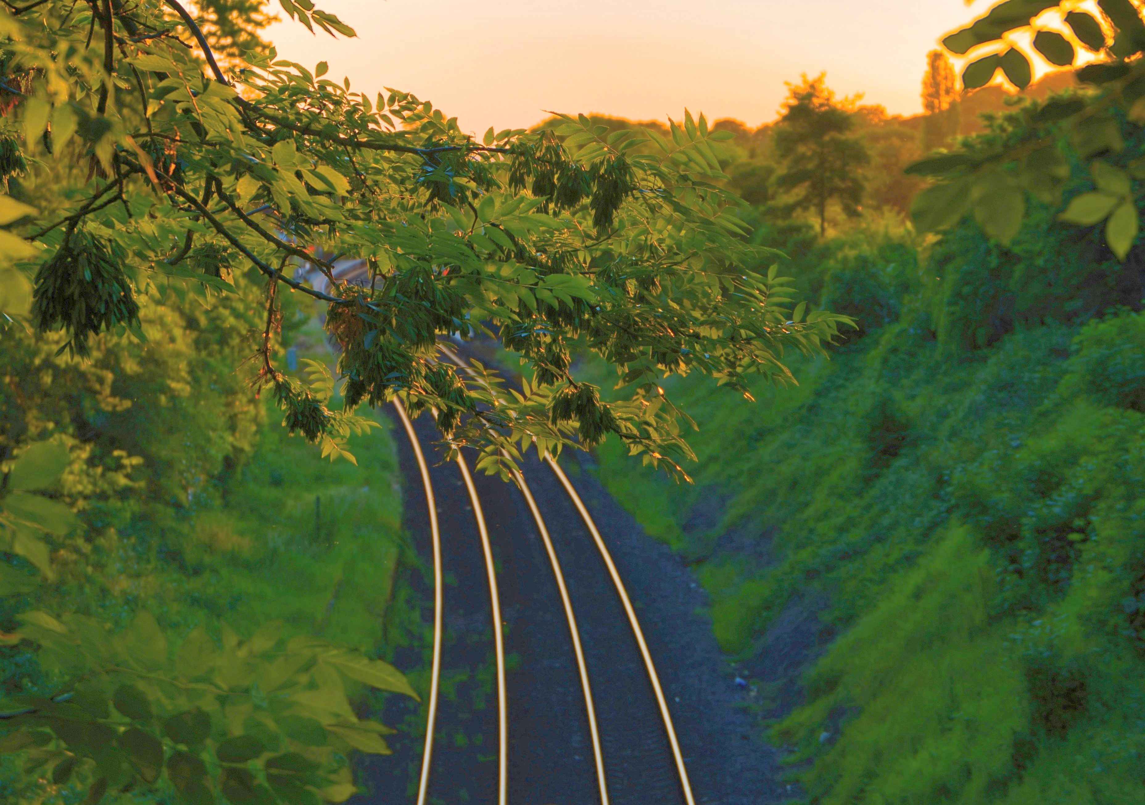 Psychosoziale Beratung & Coaching